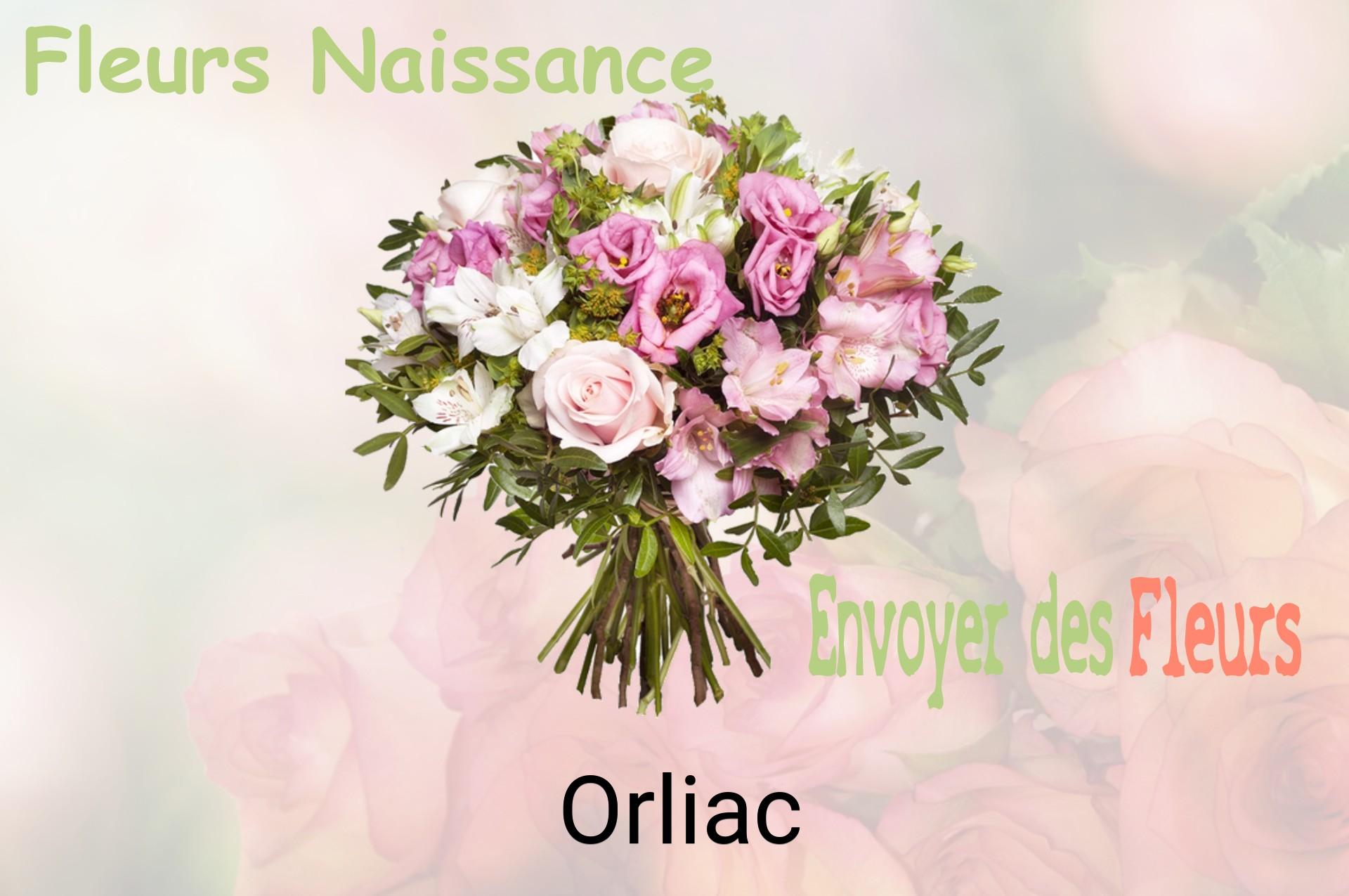 Bouquet de fleurs de naissance livré à Orliac